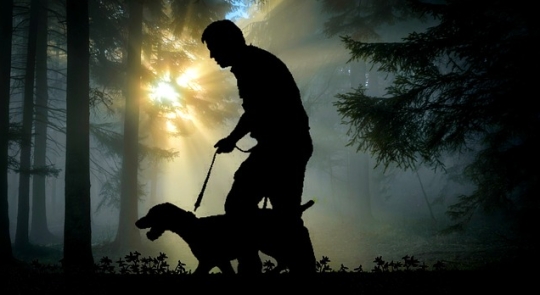 Bild på siluett av jägare i en skog med en hund