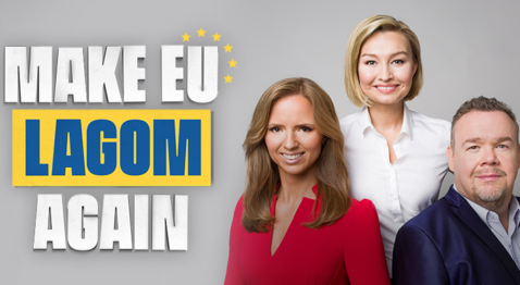 Make EU lagom again