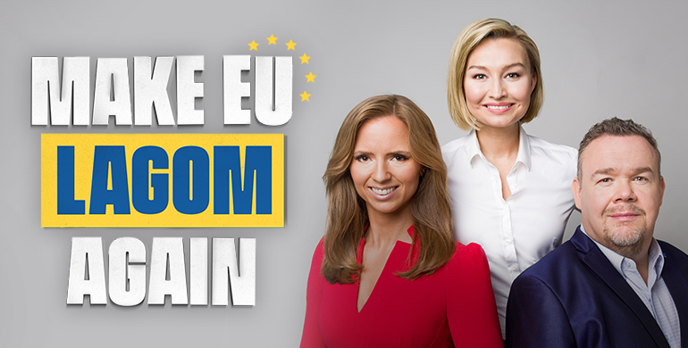 Make EU lagom again
