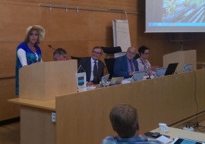 Kristdemokraternas gruppledare Camilla Rinaldo Miller i hatten i budgetdebatten i Värnamo kommunfullmäktige. (Foto: Håkan Johansson)