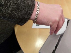 Efter utfrågningen fick medlemmarna rösta om vilka kandidater de vill ska stå högst upp på valsedlarna. (Foto: Håkan Johansson)
